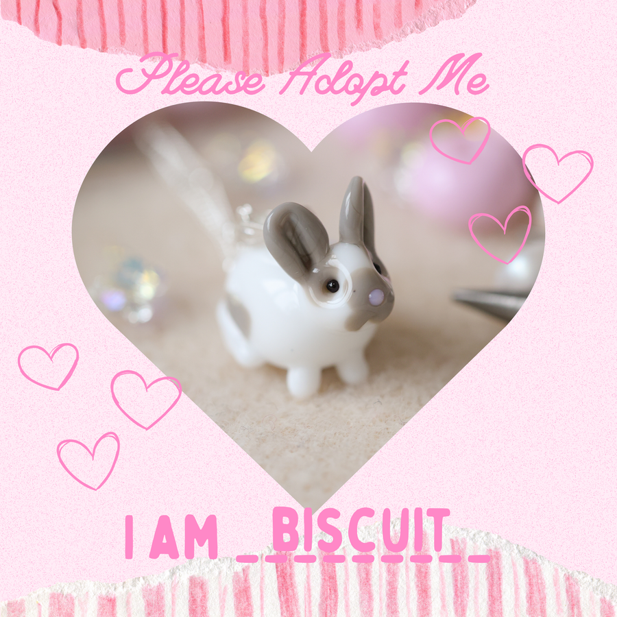 Adopt Biscuit