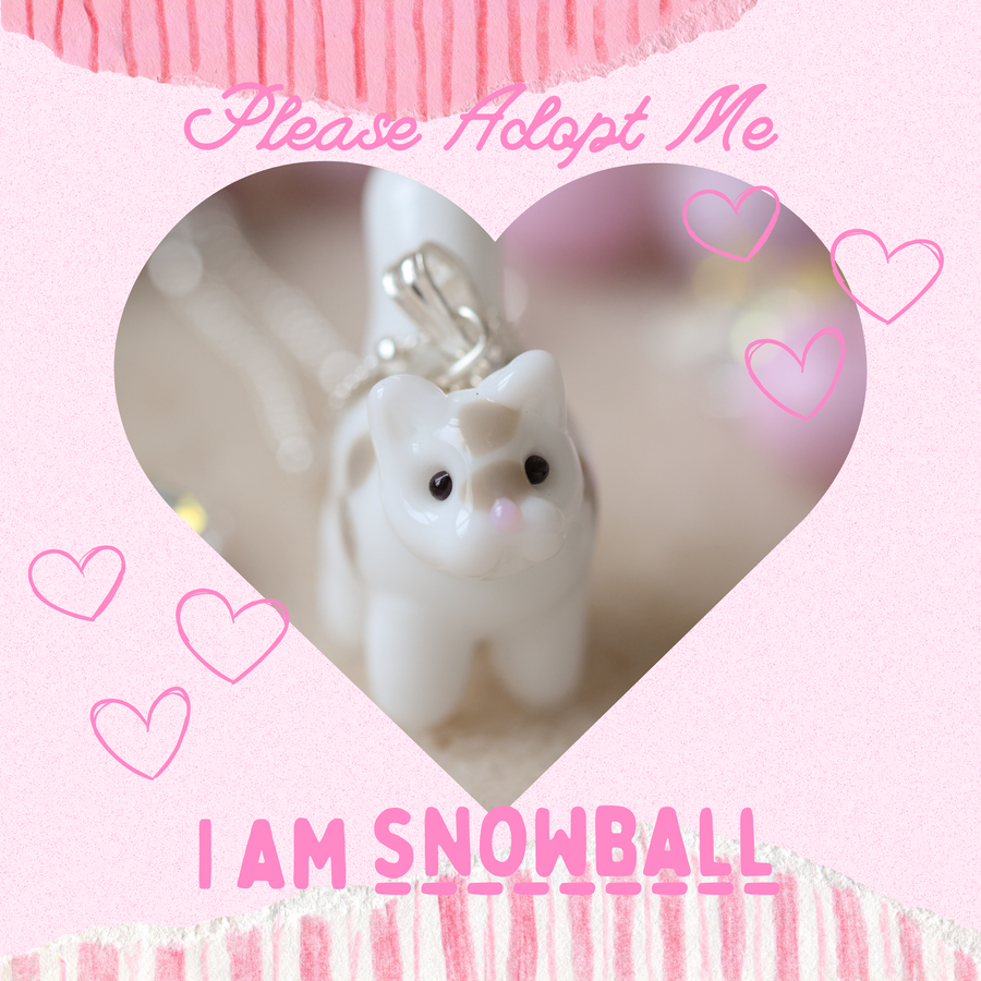 Adopt Snowball