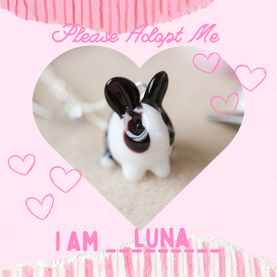 Adopt Luna