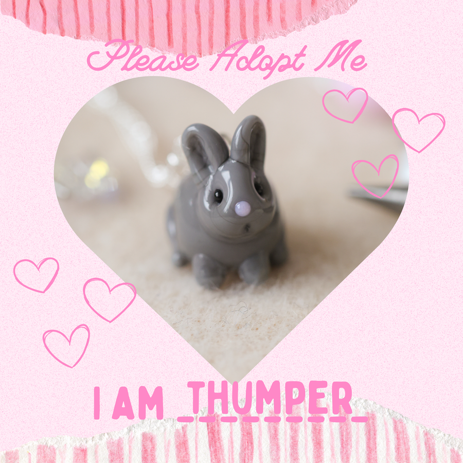 Adopt Thumper