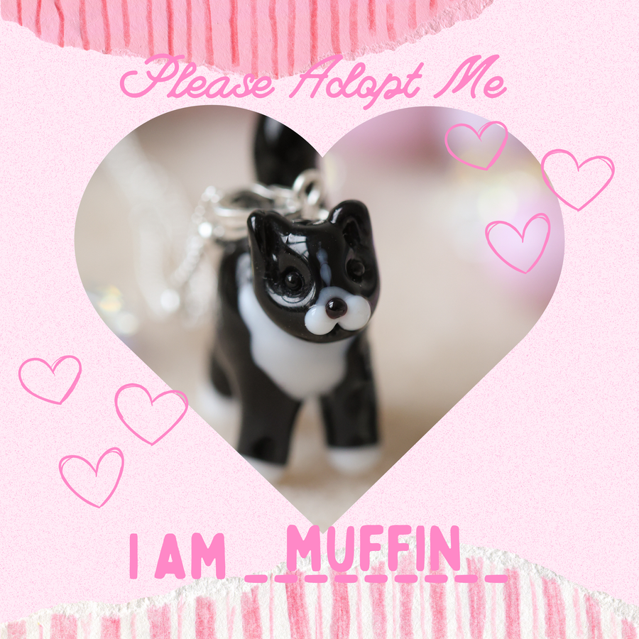 Adopt Muffin