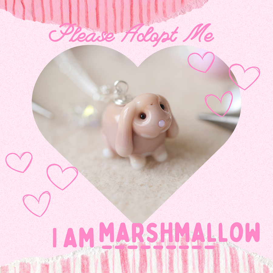 Adopt Marshmallow