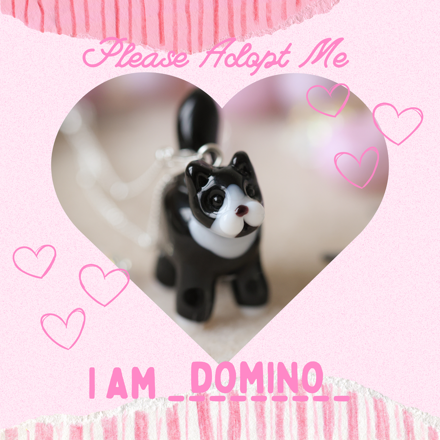 Adopt Domino
