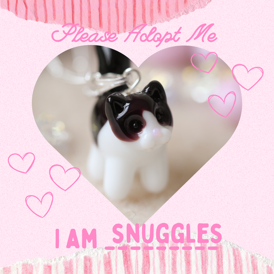 Adopt Snuggles