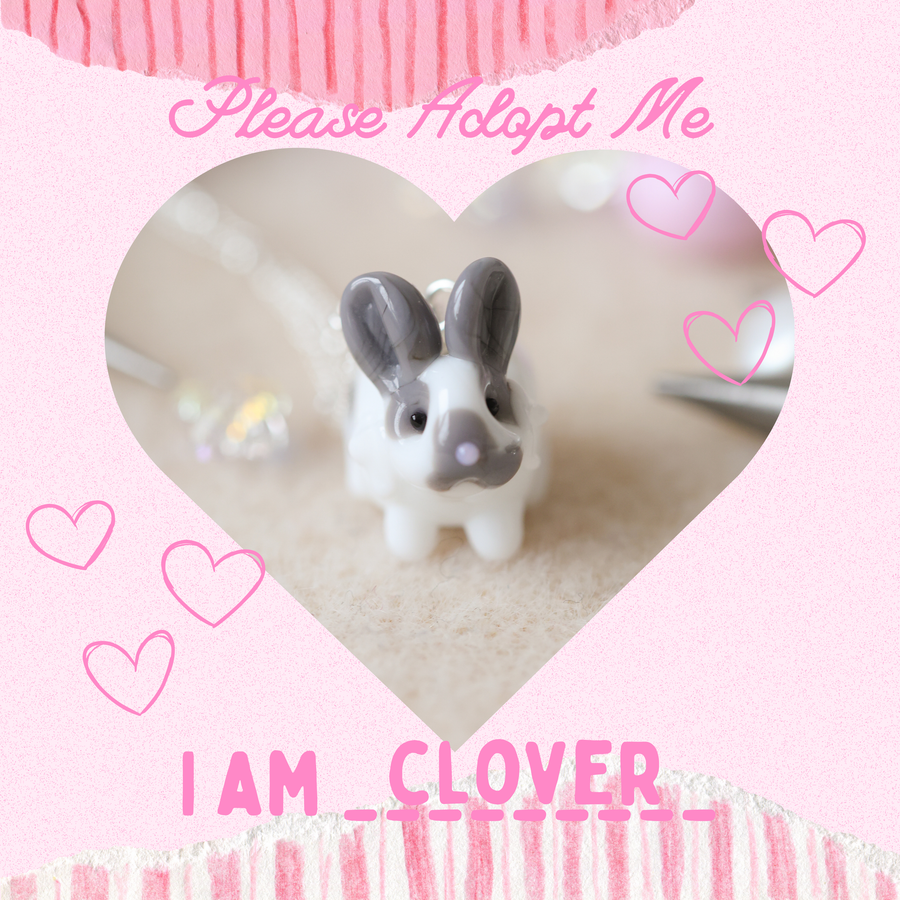 Adopt Clover