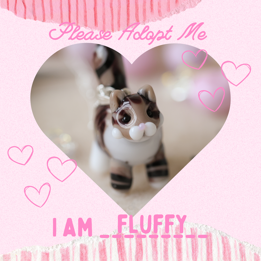 Adopt Fluffy