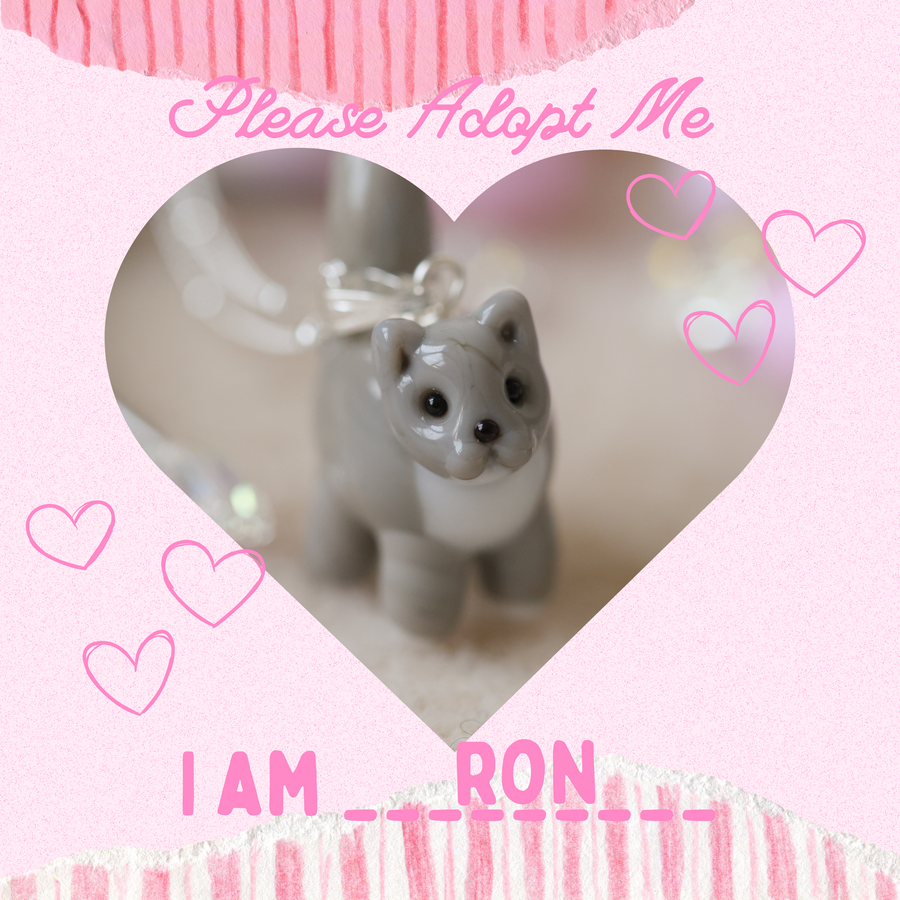 Adopt Ron
