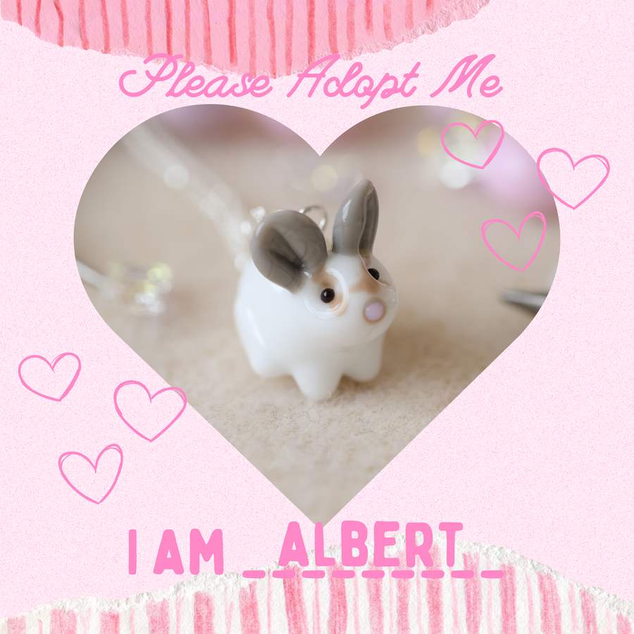 Adopt Albert