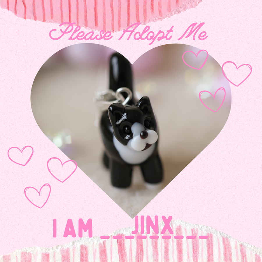 Adopt Jinx