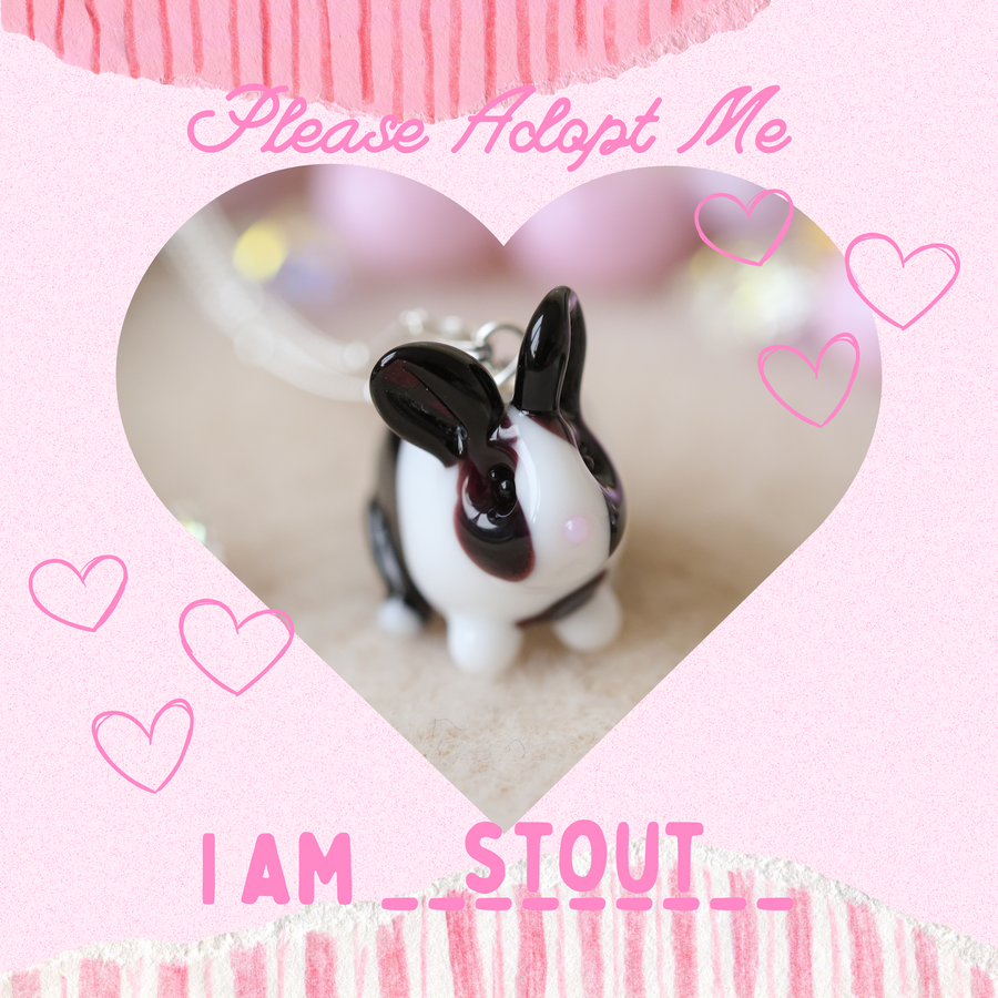 Adopt Stout