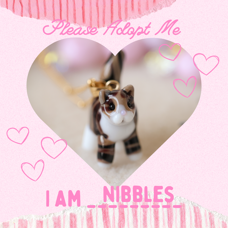 Adopt Nibbles