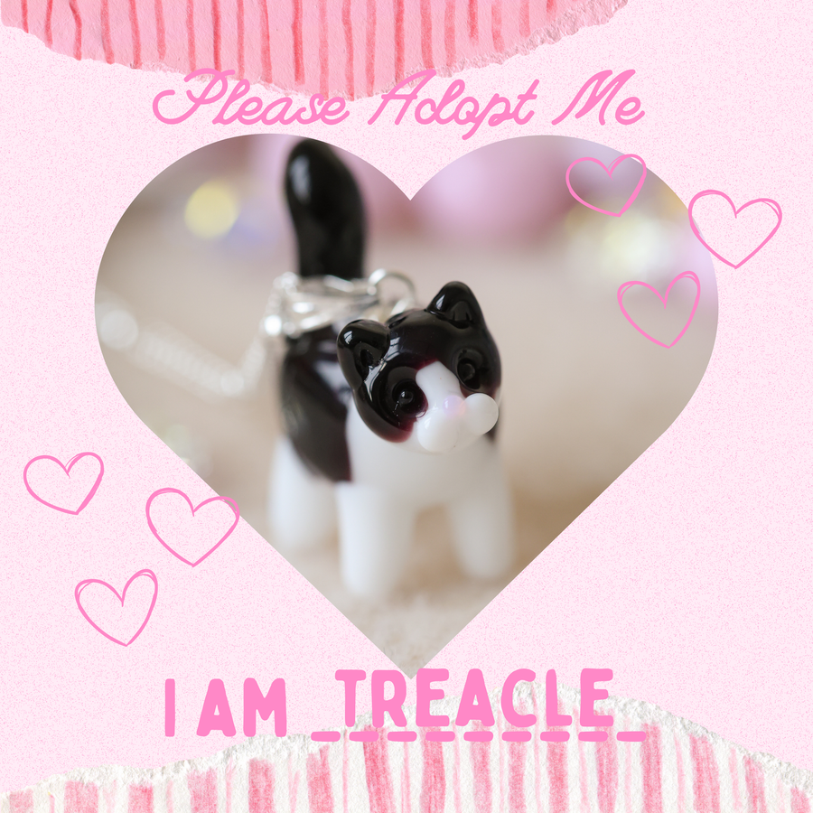 Adopt Treacle