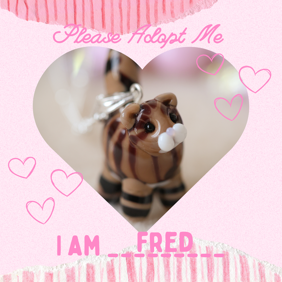 Adopt Fred