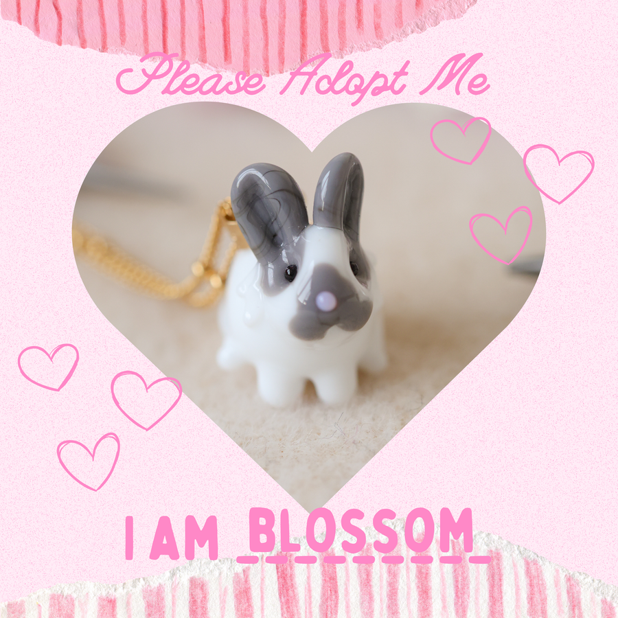 Adopt Blossom