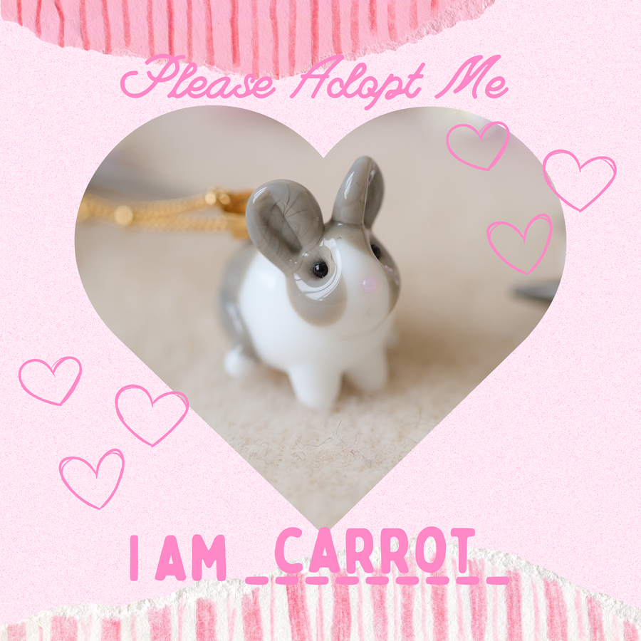 Adopt Carrot
