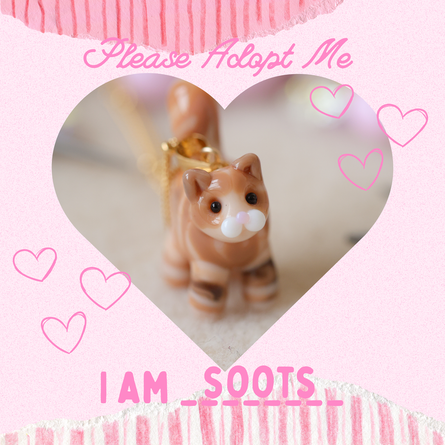 Adopt Soots