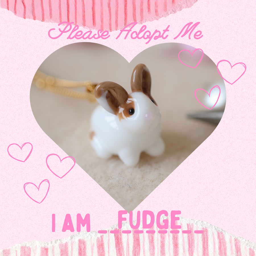 Adopt Fudge
