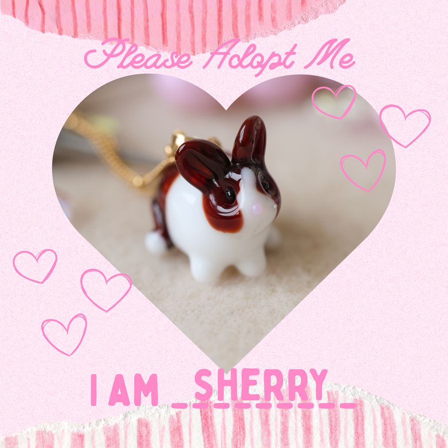 Adopt Sherry