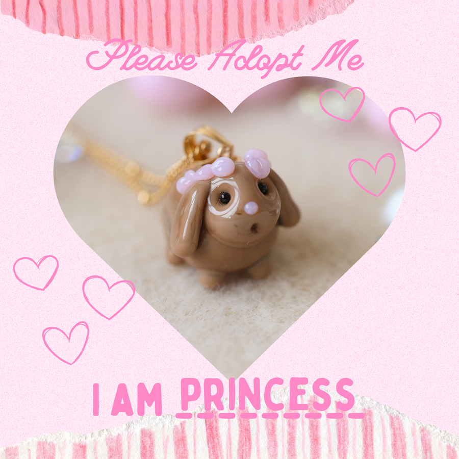 Adopt Princess