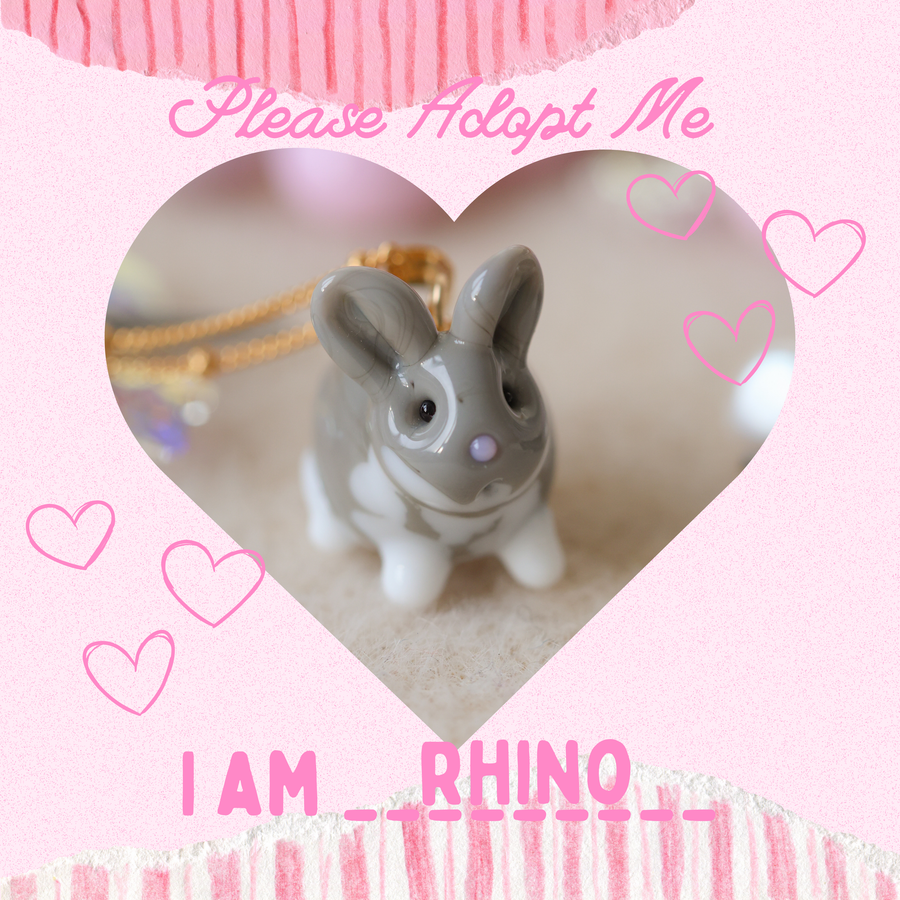 Adopt Rhino