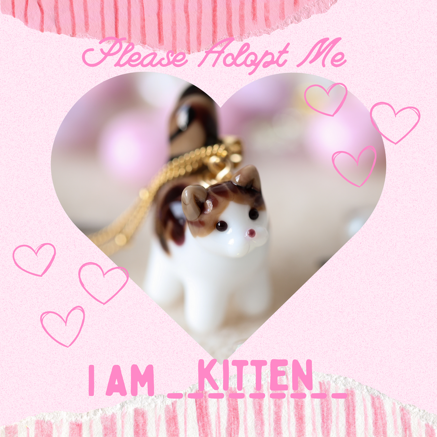 Adopt Kitten