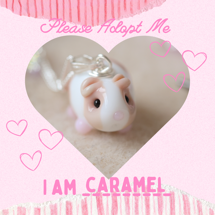 Adopt Caramel