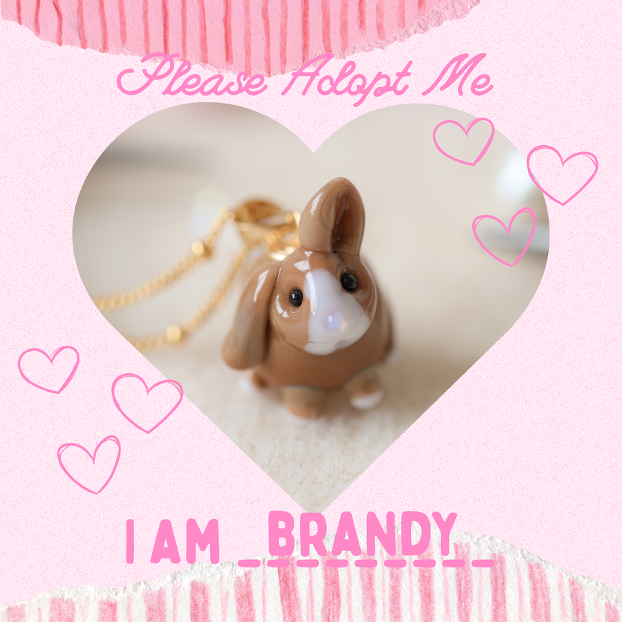 Adopt Brandy