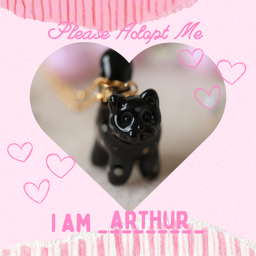 Adopt Arthur