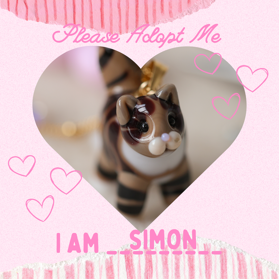 Adopt Simon