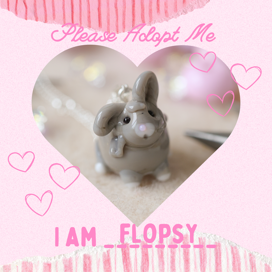 Adopt Flopsy