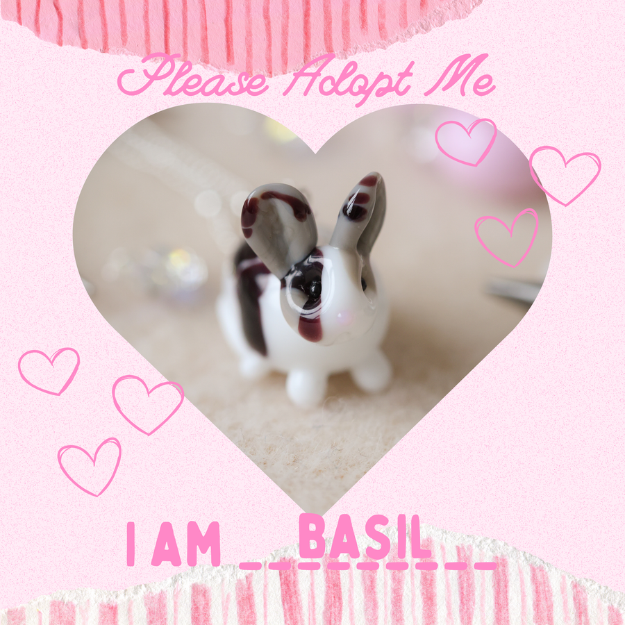 Adopt Basil