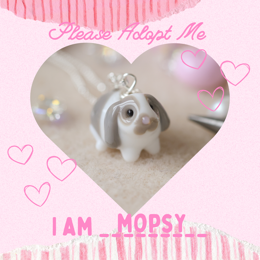 Adopt Mopsy