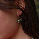 Frog Earrings